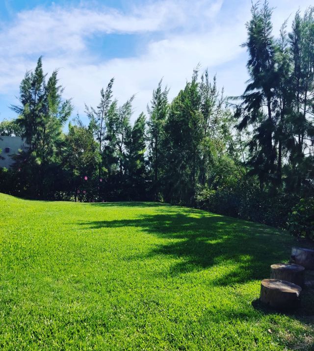 foto 24.jpg